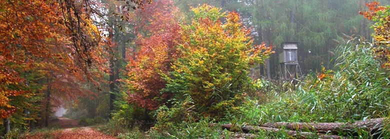 Herbststimmung